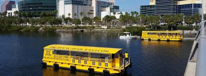 Spacious Vacation Rental In The Heart Of South Tampa